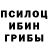Галлюциногенные грибы прущие грибы illusbysher