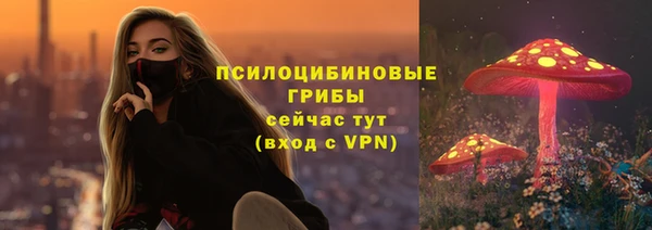 Альфа ПВП Зеленокумск