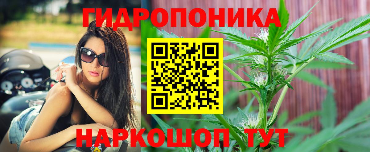 Звенигород  Канабис планчик  Канабис план  Вход с VPN 
